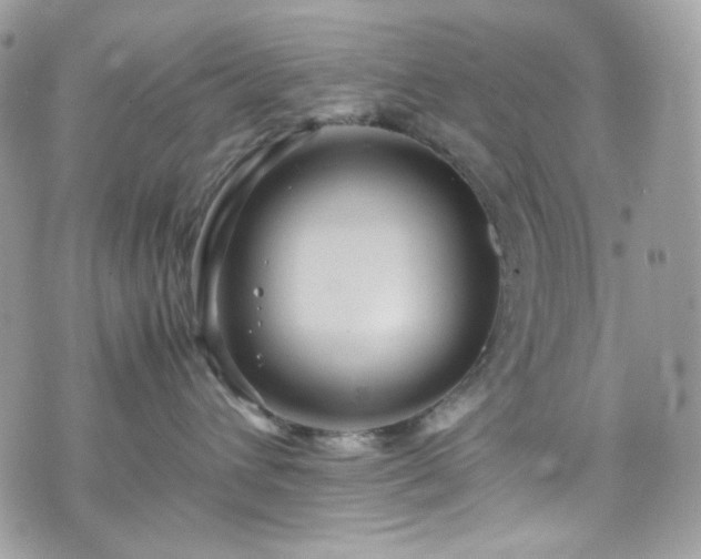 X0000070370432200606161322