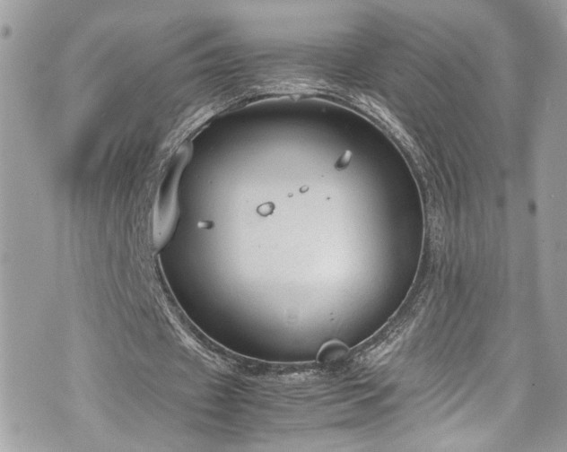 X0000070370433200606161321