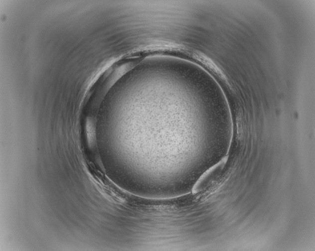 X0000070370436200606161321