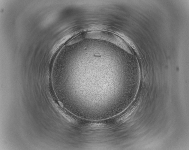 X0000070370437200606161321