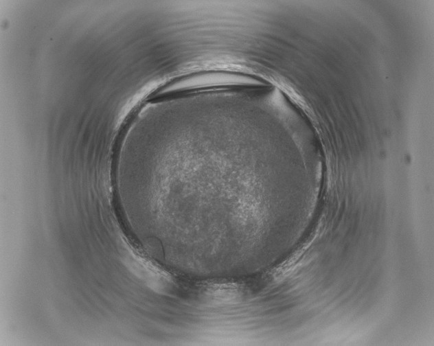 X0000070370438200606161321