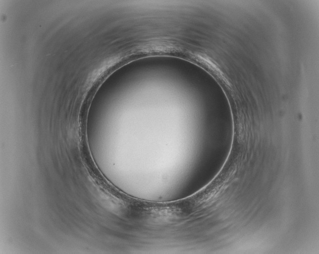 X0000070370439200606161321