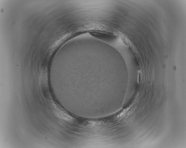 X0000070370442200606161321