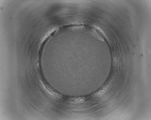 X0000070370443200606161321