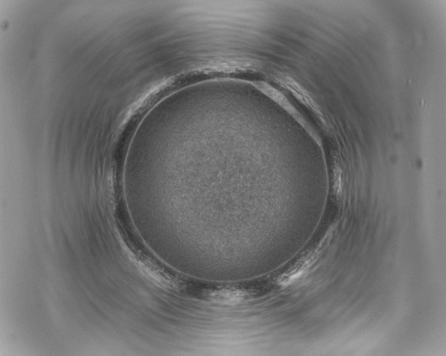 X0000070370444200606161321