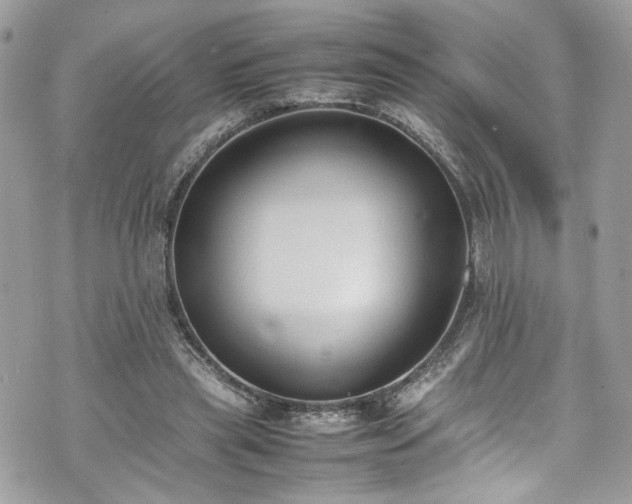 X0000070370445200606161321