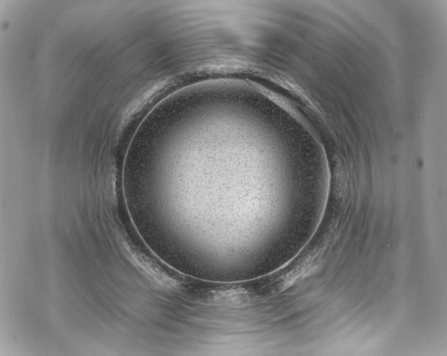 X0000070370446200606161321