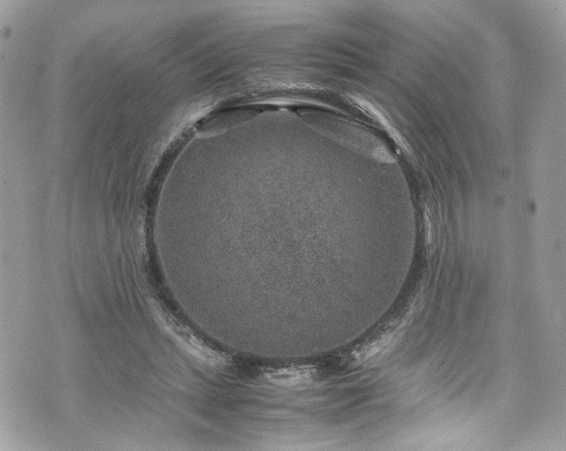 X0000070370447200606161321