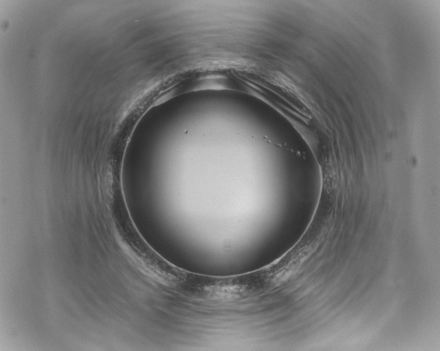 X0000070370448200606161321