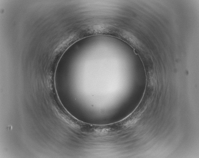 X0000070370450200606161321