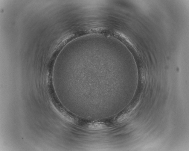 X0000070370451200606161321