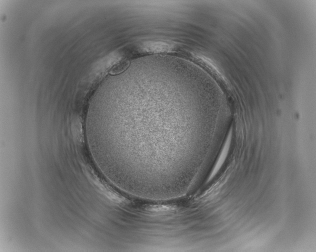 X0000070370453200606161321