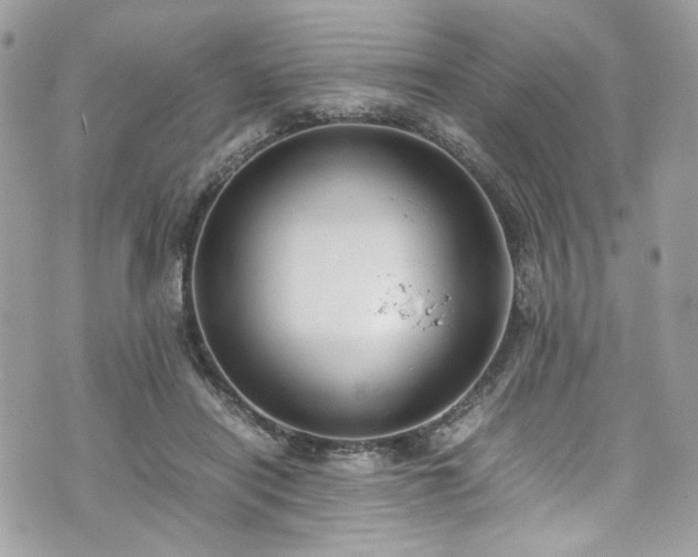 X0000070370454200606161321