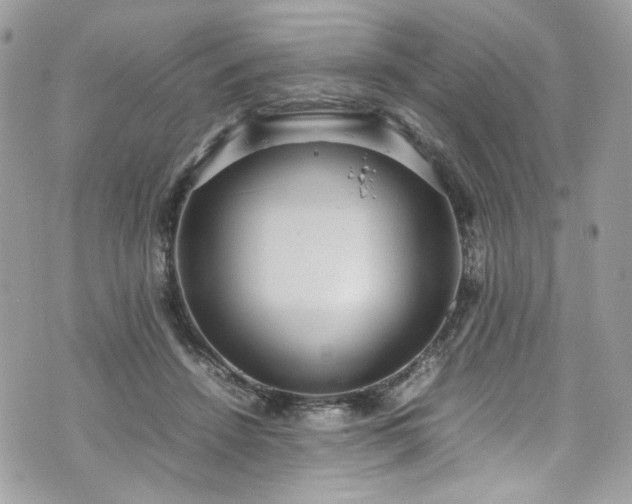 X0000070370456200606161321