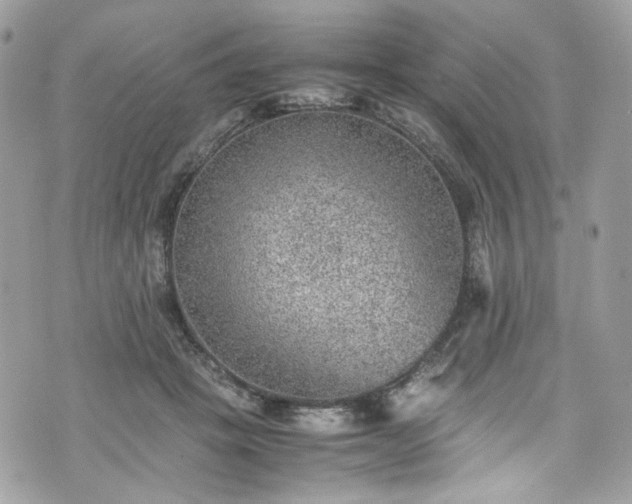 X0000070370457200606161321