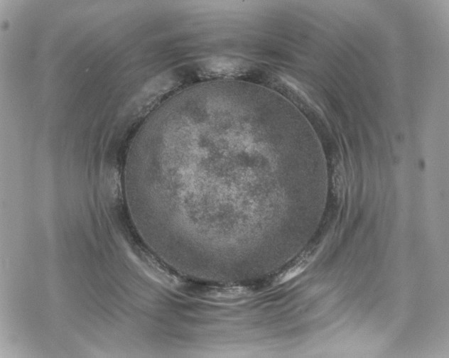 X0000070370459200606161321