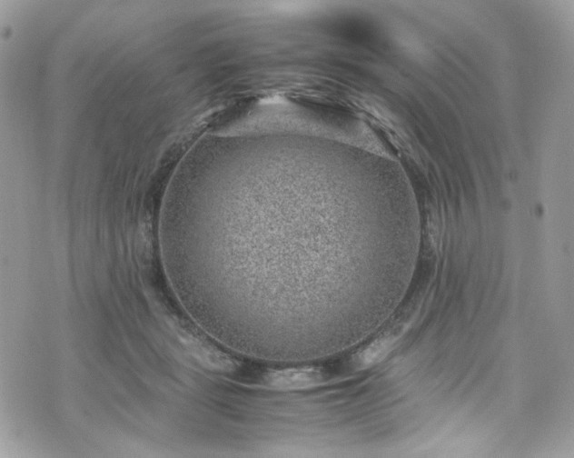 X0000070370461200606161321