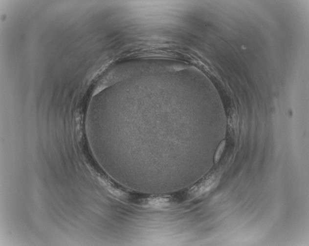 X0000070370462200606161322