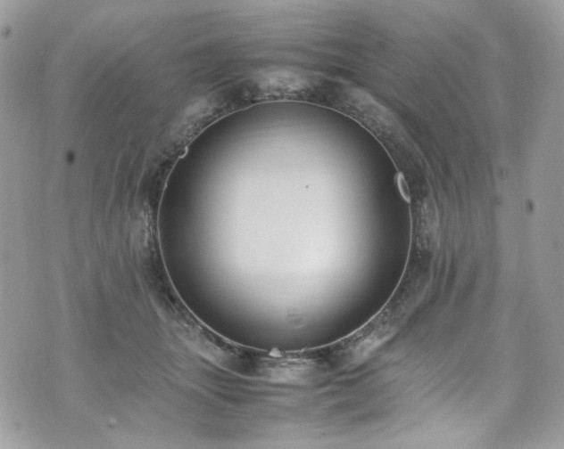 X0000070370463200606161322