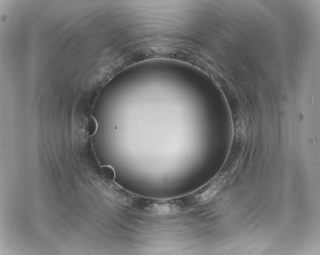 X0000070370464200606161322