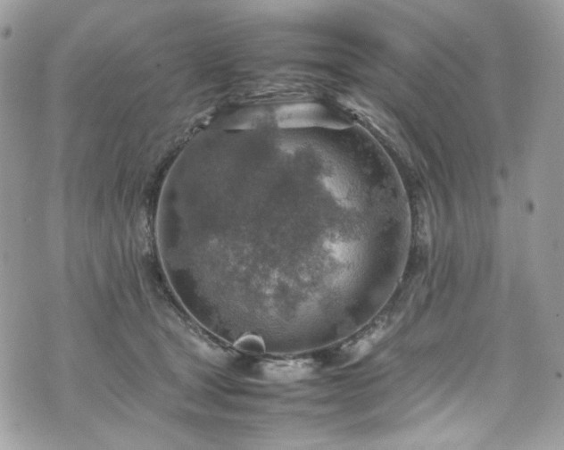 X0000070370465200606161322