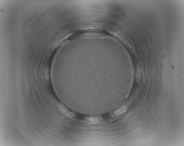 X0000070370466200606161322