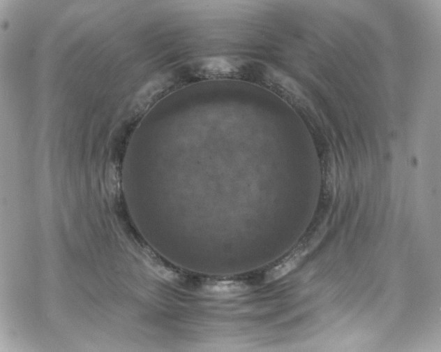 X0000070370467200606161322