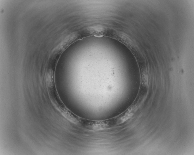 X0000070370468200606161322