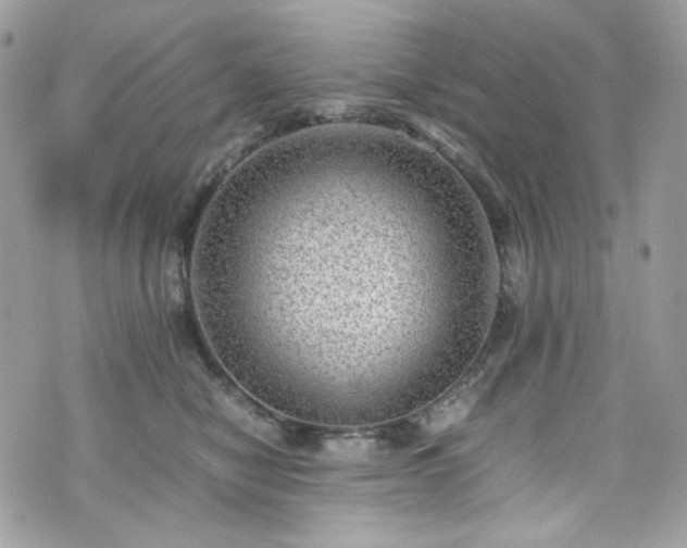 X0000070370470200606161322