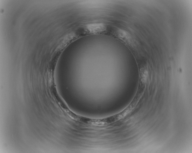 X0000070370471200606161322