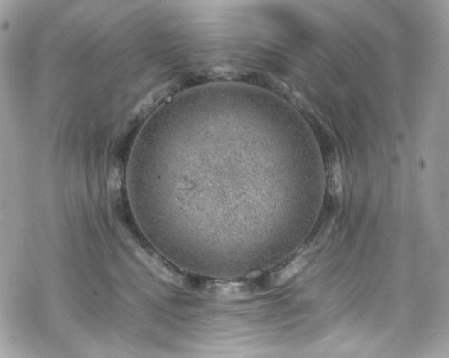 X0000070370472200606161322