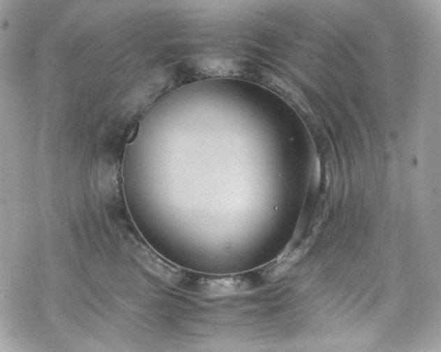 X0000070370473200606161322