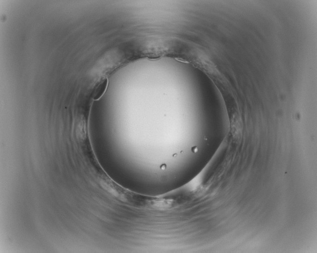 X0000070370474200606161322