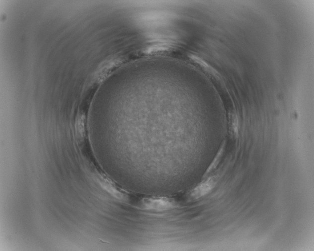 X0000070370475200606161322