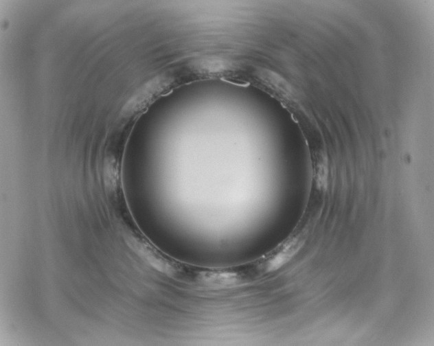 X0000070370476200606161322