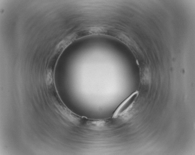 X0000070370478200606161322