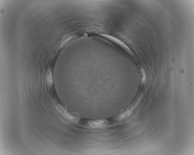 X0000070370479200606161322