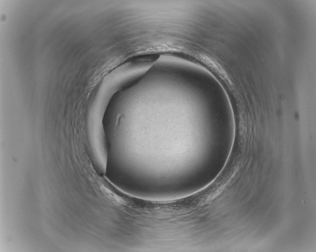 X0000070370481200606161321