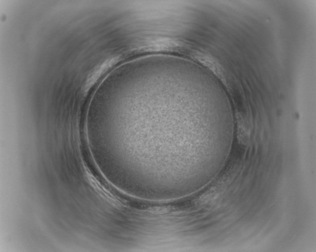 X0000070370482200606161321