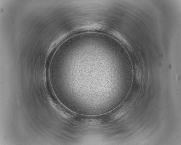 X0000070370486200606161321