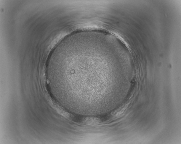 X0000070370487200606161321