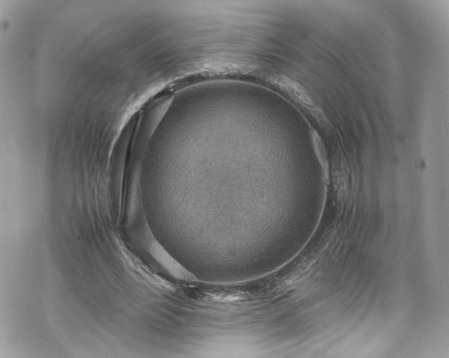 X0000070370488200606161321