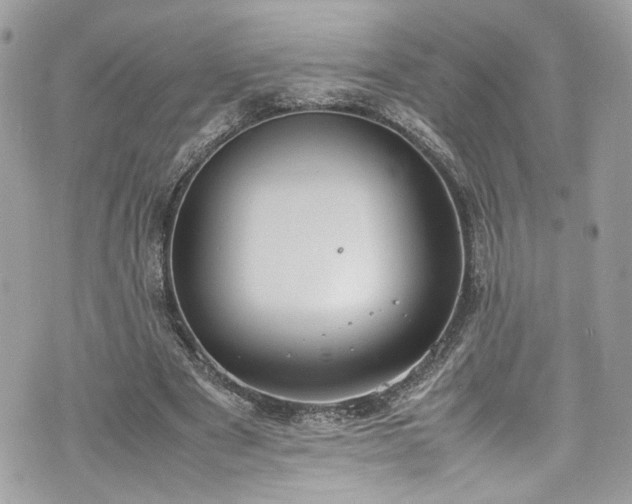 X0000070370489200606161321