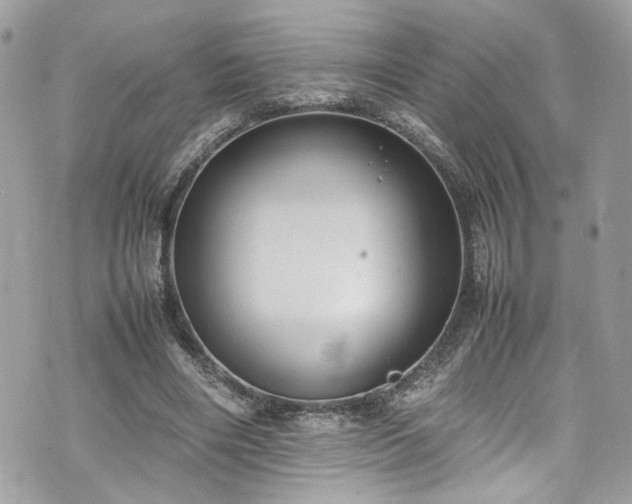 X0000070370490200606161321