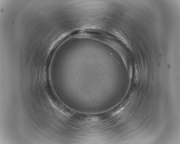 X0000070370492200606161321