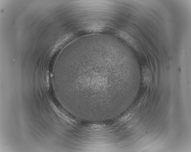 X0000070370494200606161321