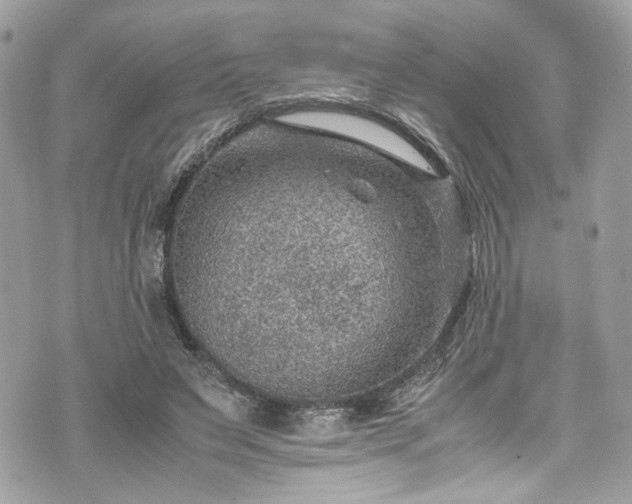 X0000070370495200606161321