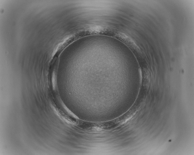 X0000070370496200606161321