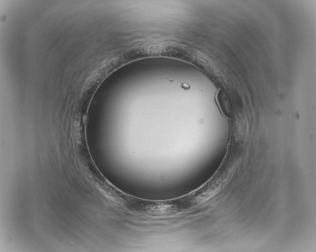 X0000070370497200606161321