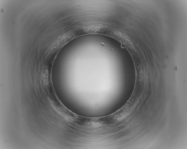 X0000070370498200606161321